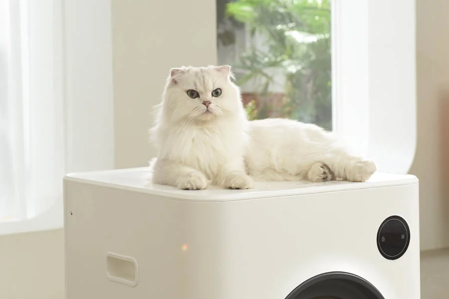 auto clean litter box